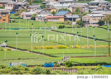 島田市の大井川鐡道の抜里駅周辺の街並み(静岡県) 136908855