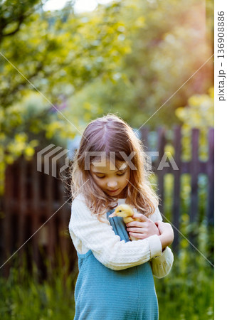 Lovely girl cuddling baby duckling. 136908886