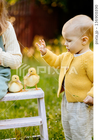 Kids enjoying time with baby animals in the garden. Kids enjoying time with baby animals in the garden. 136908890