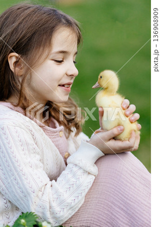 Young girl in garden playing with baby duckling. 136908909