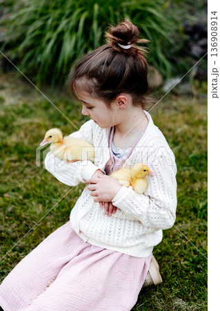 Young girl in garden playing with baby duckling. 136908914