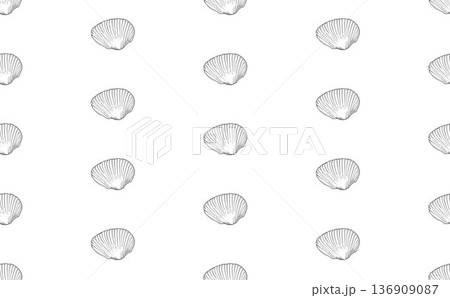 貝殻　② 136909087