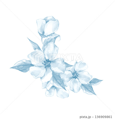 Hand drawn digital illustration of delicate light blue flowers and leaves. Botanical floral composition Hand drawn digital illustration of delicate light blue flowers and leaves. Botanical floral composition 136909861