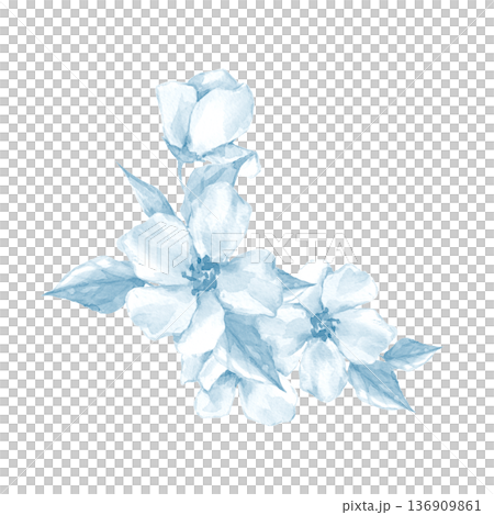 Hand drawn digital illustration of delicate light blue flowers and leaves. Botanical floral composition Hand drawn digital illustration of delicate light blue flowers and leaves. Botanical floral composition 136909861