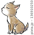 匂いを嗅ぐ子犬 136910250