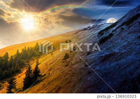 virgin coniferous forest in mountains. day and night time change concept. beautiful spruce trees on a steep slopes on autumn equinox with sun and moon. alpine scenery. equality and shift template 136910323