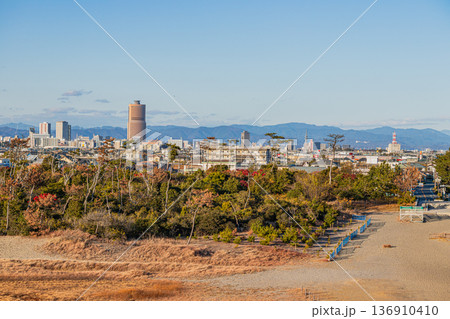 浜松市の街並み(静岡県) 浜松市の街並み(静岡県) 136910410
