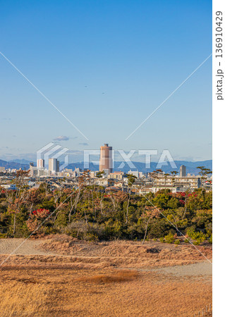 浜松市の街並み(静岡県) 136910429