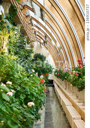 Interior view of a long greenhouse building with abundant plants and flowers. Botanical garden or orangery for plant cultivation. Interior view of a long greenhouse building with abundant plants and flowers. Botanical garden or orangery for plant cultivation. 136910737