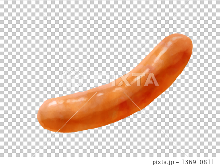 逼真的維也納香腸插圖 136910811