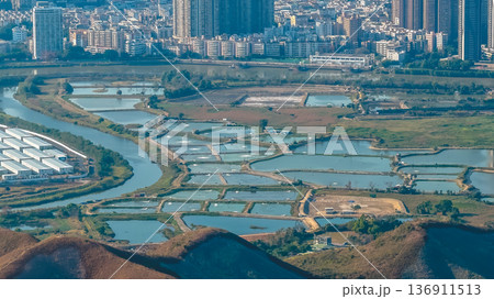 view of Ma Tso Lung wetlands near cityscape Feb 18 2026 136911513
