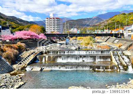 しらなみ橋／白田川より上流方向を望む(静岡県東伊豆町)【2026.2】 136911545