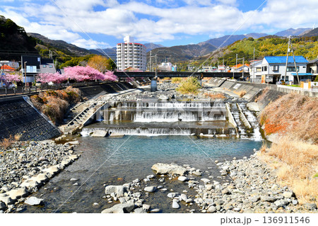 しらなみ橋/白田川より上流方向を望む(静岡県東伊豆町)【2026.2】 しらなみ橋/白田川より上流方向を望む(静岡県東伊豆町)【2026.2】 136911546