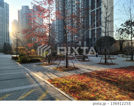 Red Autumn Leaves and Fallen Foliage in a Modern Apartment Garden Red Autumn Leaves and Fallen Foliage in a Modern Apartment Garden 136912258