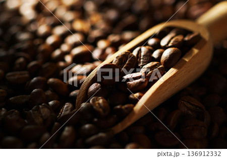 コーヒー豆 コーヒー豆 136912332