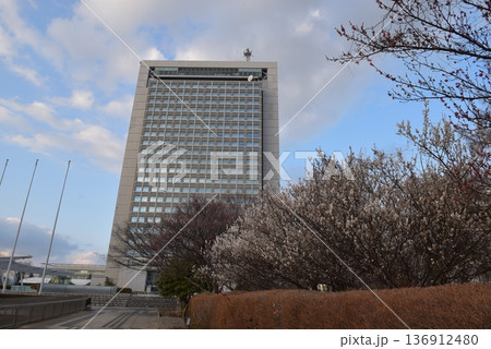 茨城県庁 136912480