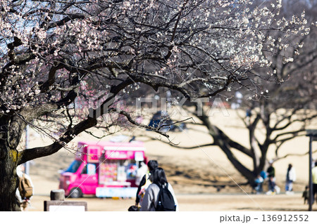 埼玉県所沢航空記念公園 梅園 埼玉県所沢航空記念公園 梅園 136912552