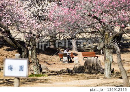 埼玉県所沢航空記念公園 梅園 埼玉県所沢航空記念公園 梅園 136912556