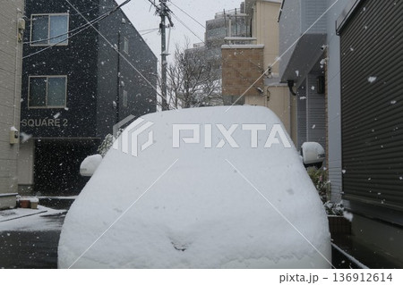 車の屋根に積もった雪 車の屋根に積もった雪 136912614