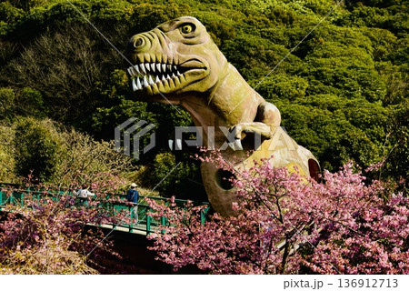 笠戸島の巨大な恐竜と河津桜 笠戸島の巨大な恐竜と河津桜 136912713