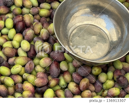 Freshly harvested olives with a metal bowl, ideal for food background and agriculture theme 136913307