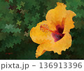 黄色いハイビスカスと千鳥格子パターンのデジタルイラスト 136913396