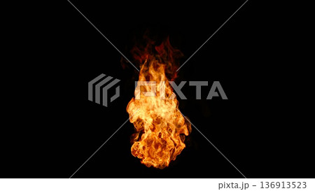 松明の炎【バリエーション2】 136913523