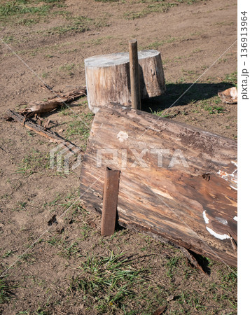 Cut tree logs on the ground in a rural setting. Rustic wood and natural materials for landscaping. Outdoor park and garden design. 136913964