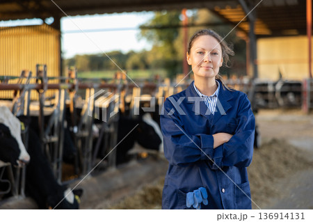 Farmer engaged in breeding of cows posing in cowshed 136914131