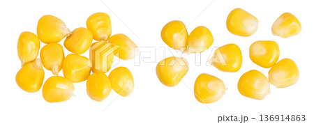 corn seeds isolated on white background. Top view. Flat lay 136914863