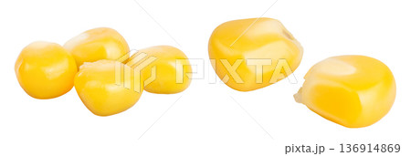 corn seeds isolated on white background with full depth of field 136914869