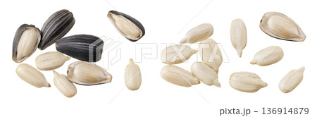 Sunflower seeds isolated on white background. Top view. Flat lay Sunflower seeds isolated on white background. Top view. Flat lay 136914879