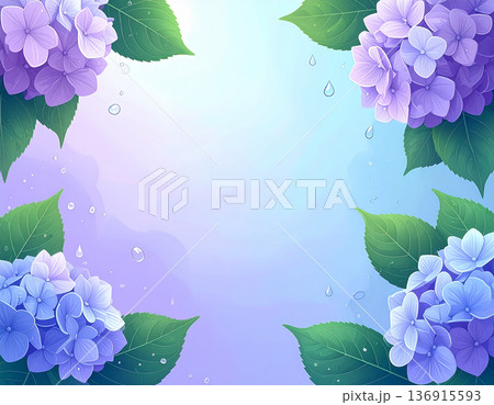 6月の梅雨背景、紫陽花と葉の中央余白付き 136915593
