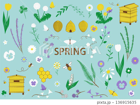 セット素材　春　初夏 136915635
