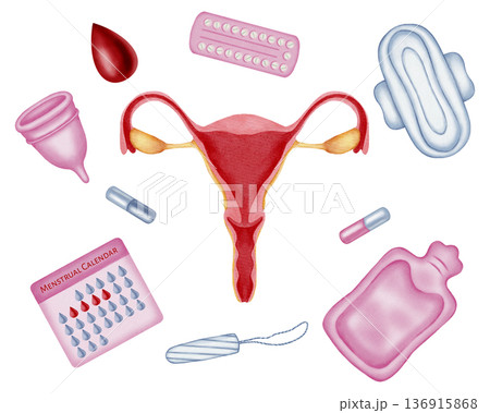 Watercolor composition with female reproductive system, menstrual cup, pad, tampon, hot water bottle, and calendar. Concept of women's health, hygiene and period pain relief 136915868