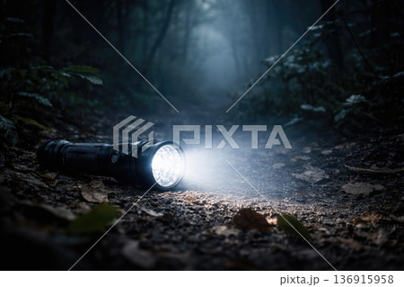 Flashlight lying on forest ground illuminating path in dark mysterious woodland Flashlight lying on forest ground illuminating path in dark mysterious woodland 136915958