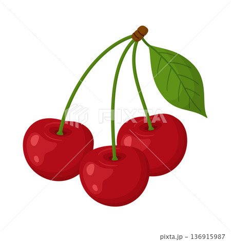 Three red cherries with green stems and leaf. Bright glossy flat style isolated Three red cherries with green stems and leaf. Bright glossy flat style isolated 136915987