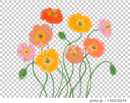 用蠟筆畫出的罌粟花 136916644