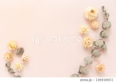 白い花の背景 白い花の背景 136916651