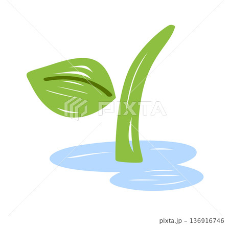 Plant sprout growing from water 136916746