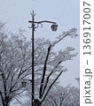 雪の街路樹 136917007