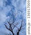 見上げた空 136917009