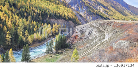 Mountain river flowing through autumn forest with golden larch trees. Fall season landscape for nature and travel concept. Mountain river flowing through autumn forest with golden larch trees. Fall season landscape for nature and travel concept. 136917134