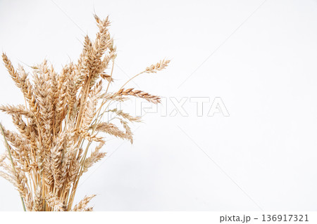 Bunch of wheat ears on white background. Agriculture and harvest concept. Food industry and natural organic farming. Bunch of wheat ears on white background. Agriculture and harvest concept. Food industry and natural organic farming. 136917321