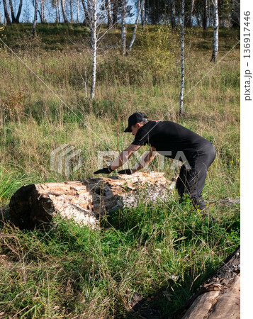 Man in black uniform pushing or moving tree log on a sunny day in nature. Forest work outdoor activity for wood processing. Man in black uniform pushing or moving tree log on a sunny day in nature. Forest work outdoor activity for wood processing. 136917446