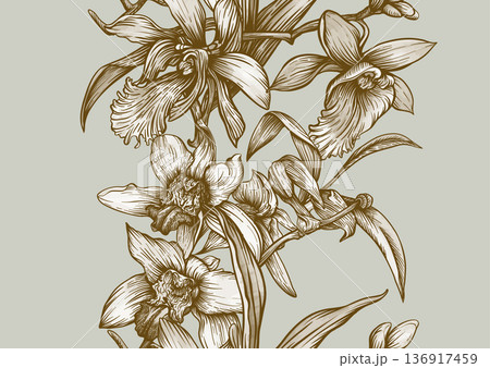 Vanilla orchid seamless coloring page.  136917459