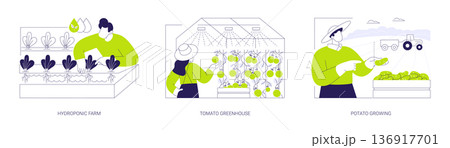 Vegetable industry isolated cartoon vector illustrations se Vegetable industry isolated cartoon vector illustrations se 136917701