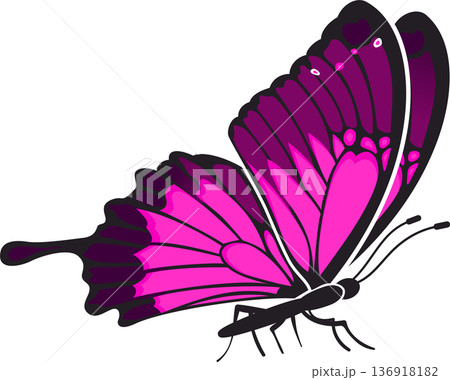 Butterfly 136918182