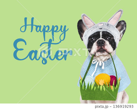 Happy Easter. Cute dog and greeting text Happy Easter. Cute dog and greeting text 136919293