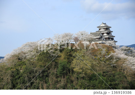 愛媛県大洲市 大洲城 愛媛県大洲市 大洲城 136919386